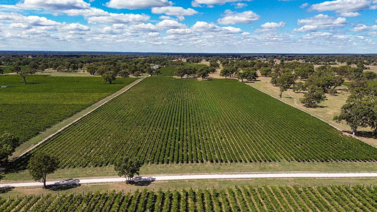 V&A Lane, Coonawarra For Sale by Farmbuy.com - image 6