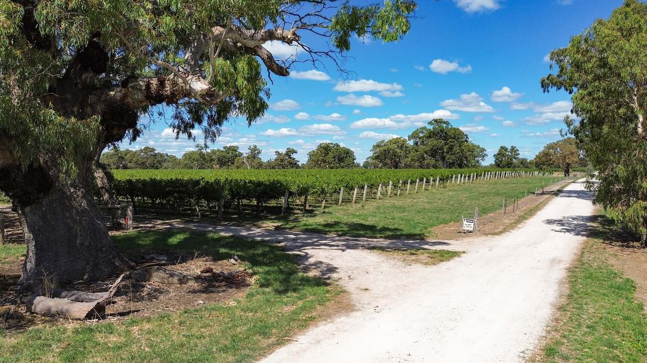 V&A Lane, Coonawarra For Sale by Farmbuy.com - image 21