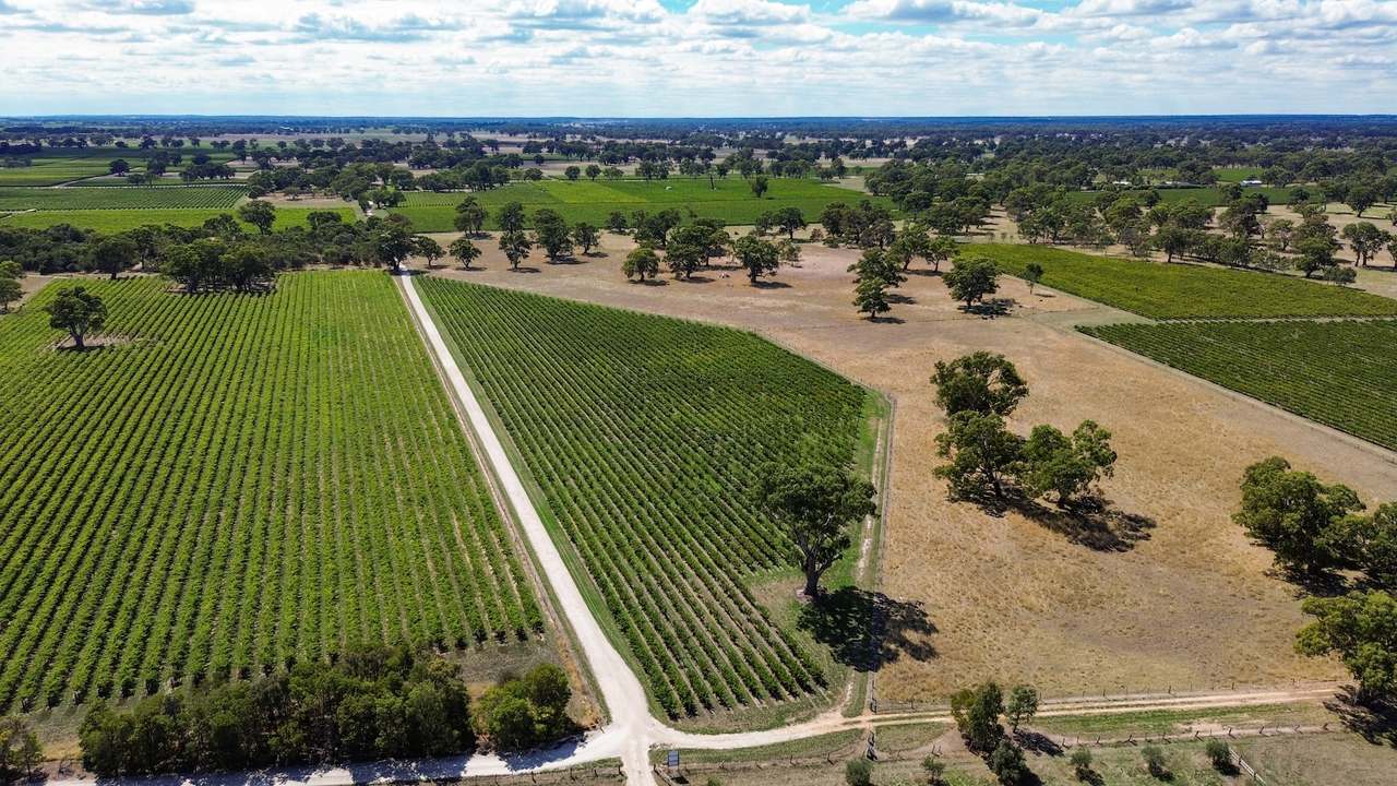 V&A Lane, Coonawarra For Sale by Farmbuy.com - image 23