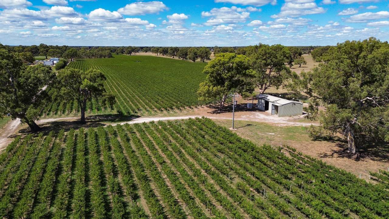 V&A Lane, Coonawarra For Sale by Farmbuy.com - image 14