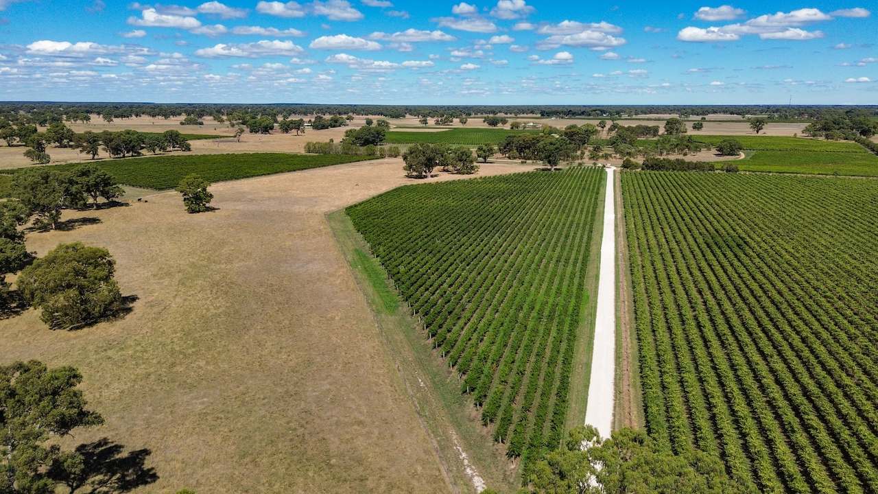 V&A Lane, Coonawarra For Sale by Farmbuy.com - image 22