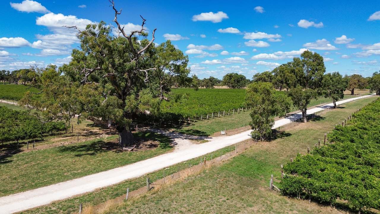 V&A Lane, Coonawarra For Sale by Farmbuy.com - image 20