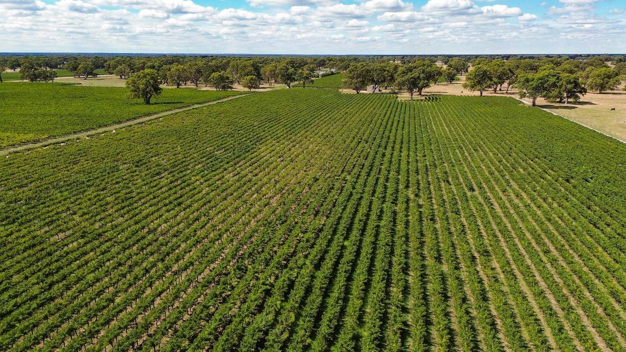 V&A Lane, Coonawarra For Sale by Farmbuy.com - image 8