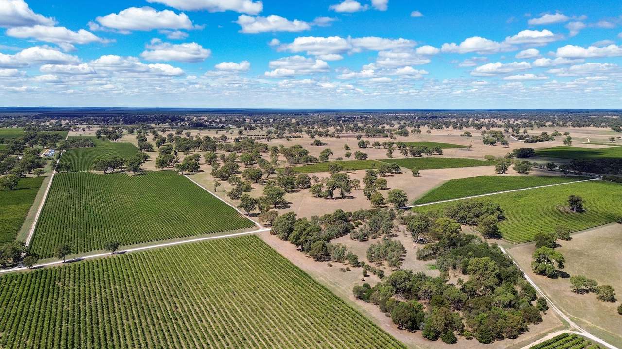 V&A Lane, Coonawarra For Sale by Farmbuy.com - image 3