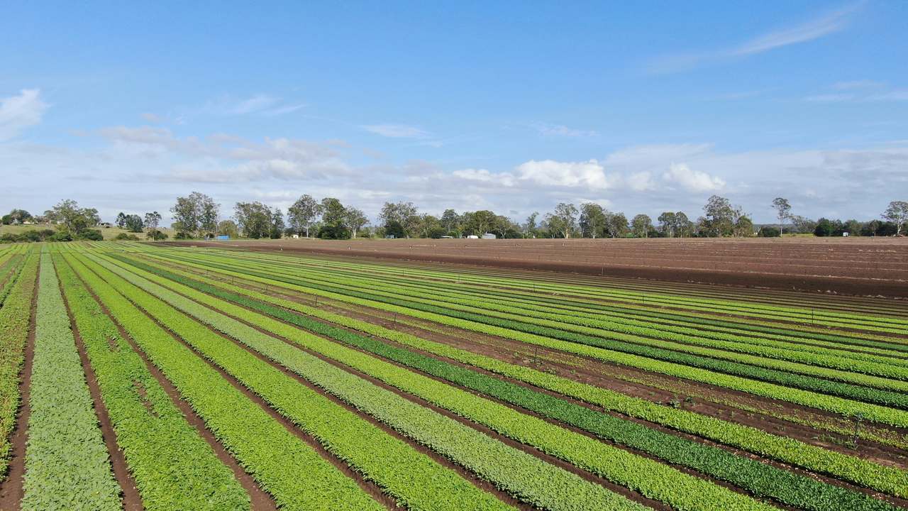 Mahons Road , Coominya Expressions of Interest by Farmbuy.com - image 6