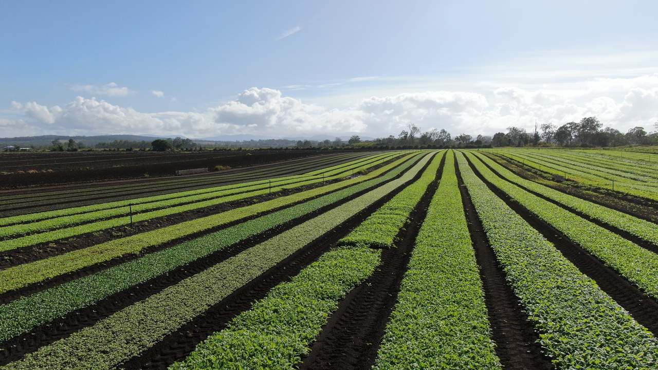 Mahons Road , Coominya Expressions of Interest by Farmbuy.com - image 2