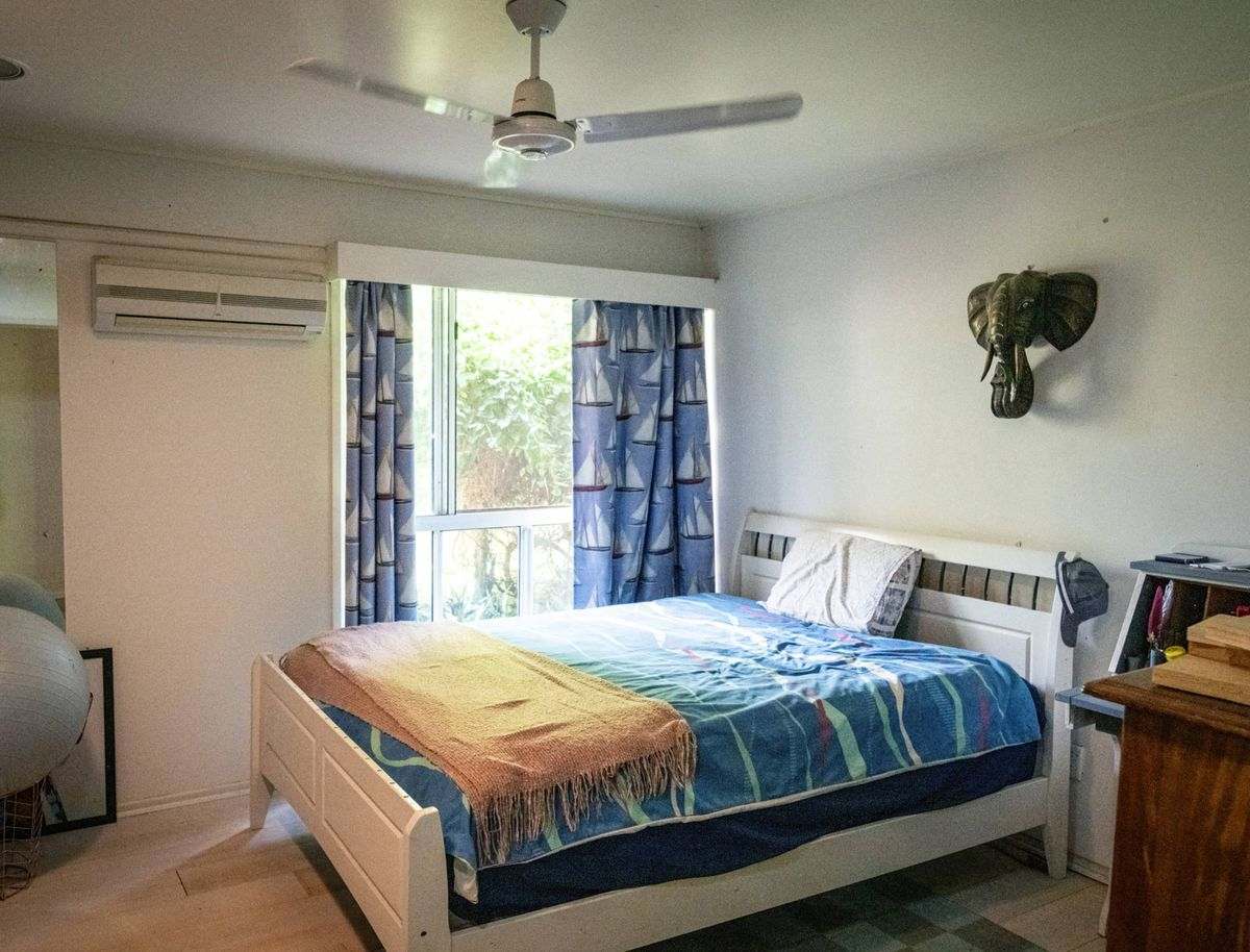 MON-ABRI, Dingo Auction by Farmbuy.com - image 13