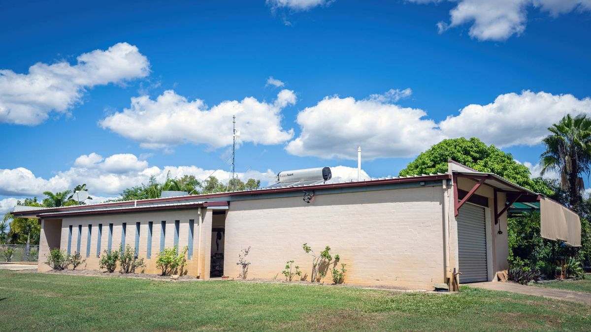 MON-ABRI, Dingo Auction by Farmbuy.com - image 4