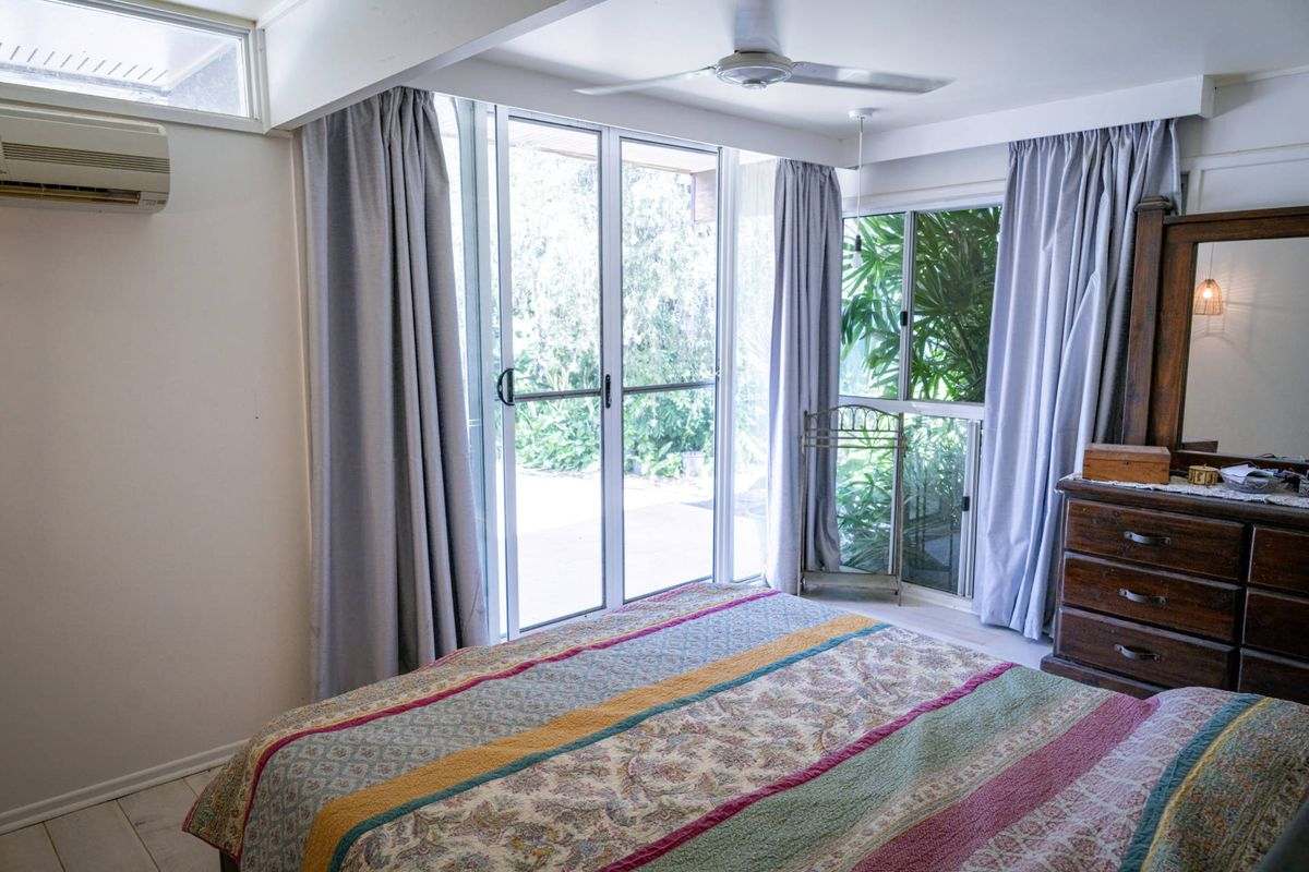 MON-ABRI, Dingo Auction by Farmbuy.com - image 10