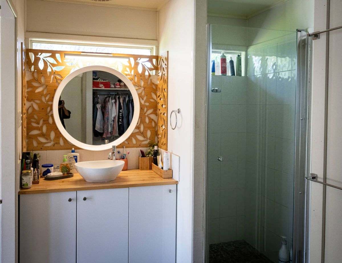 MON-ABRI, Dingo Auction by Farmbuy.com - image 12