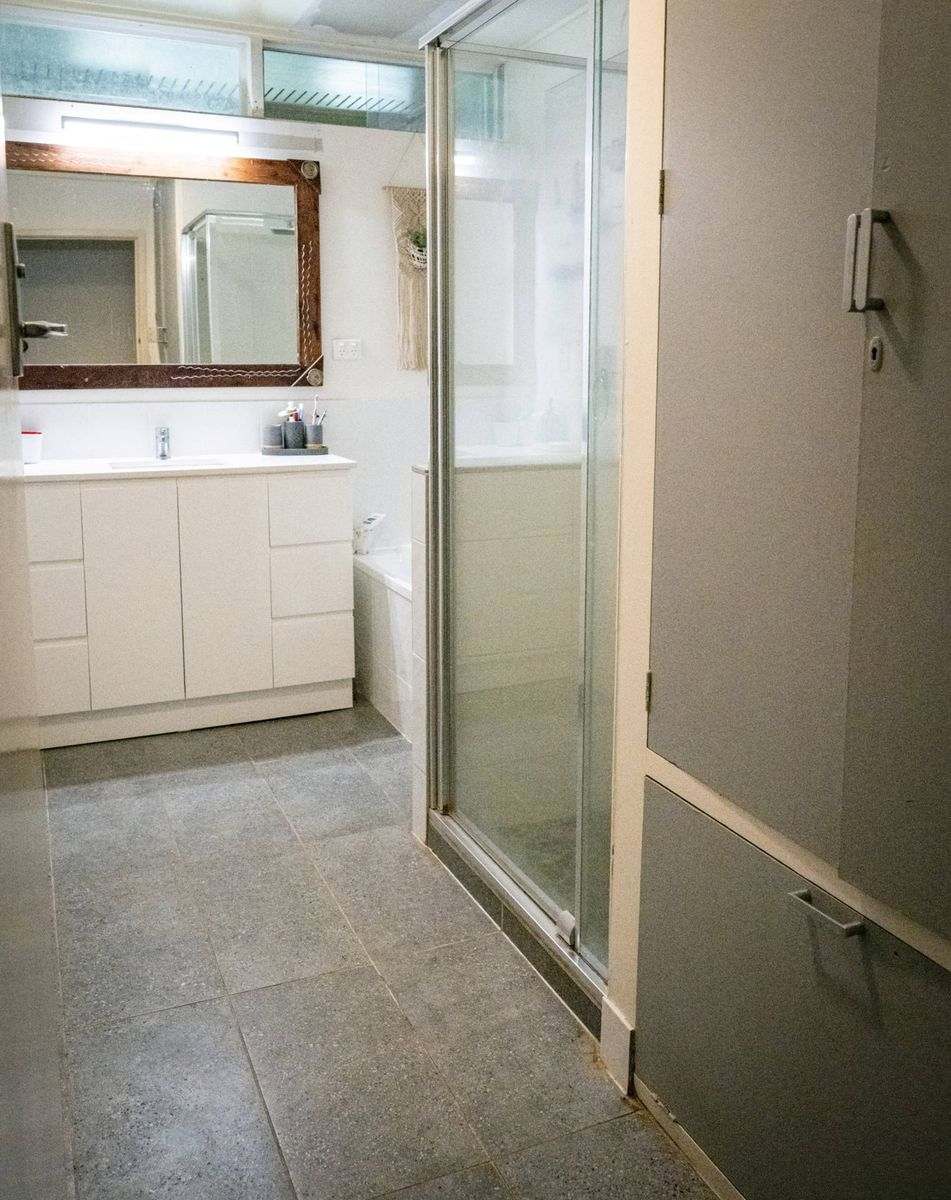 MON-ABRI, Dingo Auction by Farmbuy.com - image 15