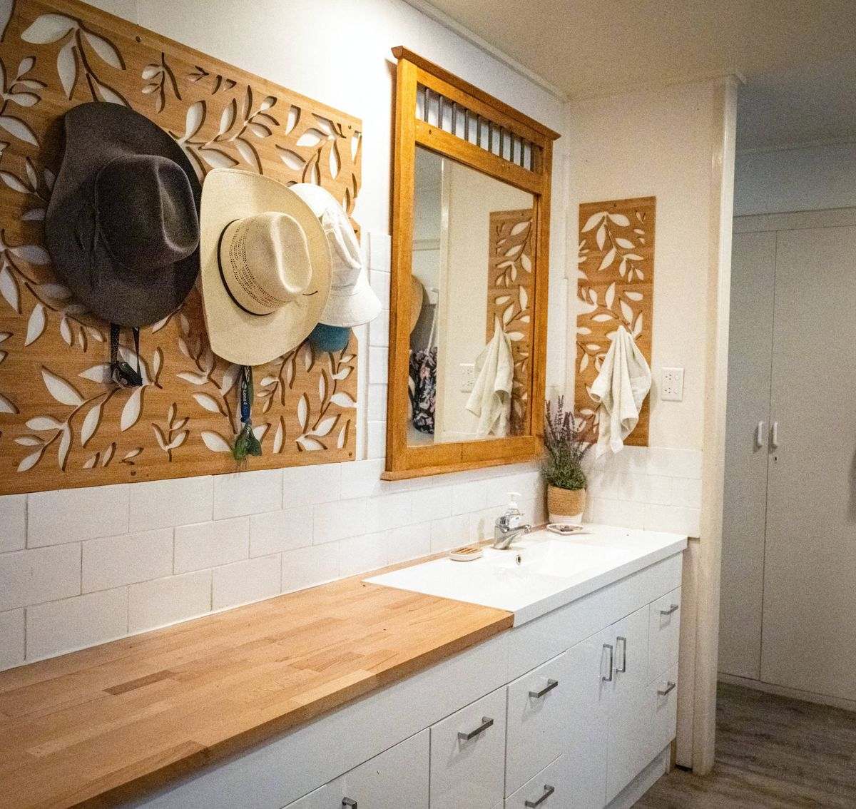 MON-ABRI, Dingo Auction by Farmbuy.com - image 16