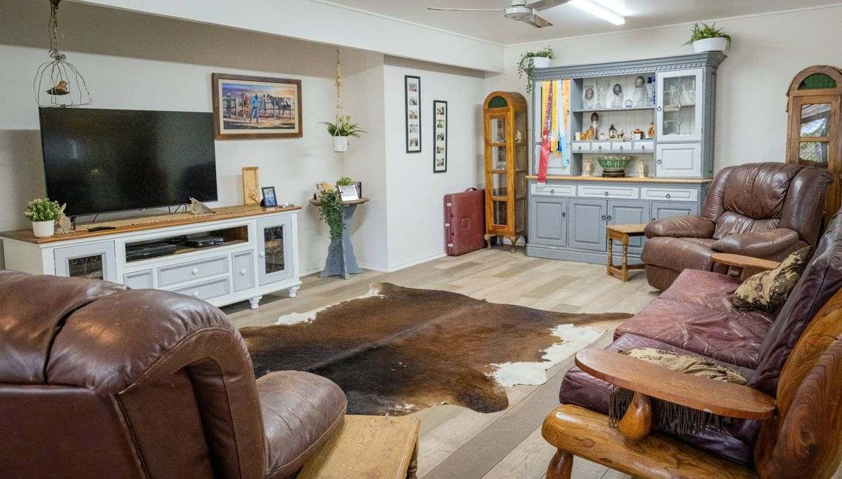 MON-ABRI, Dingo Auction by Farmbuy.com - image 9