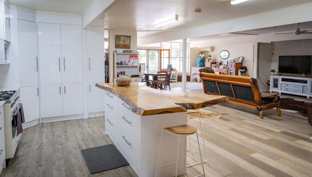 MON-ABRI, Dingo Auction by Farmbuy.com - image 8