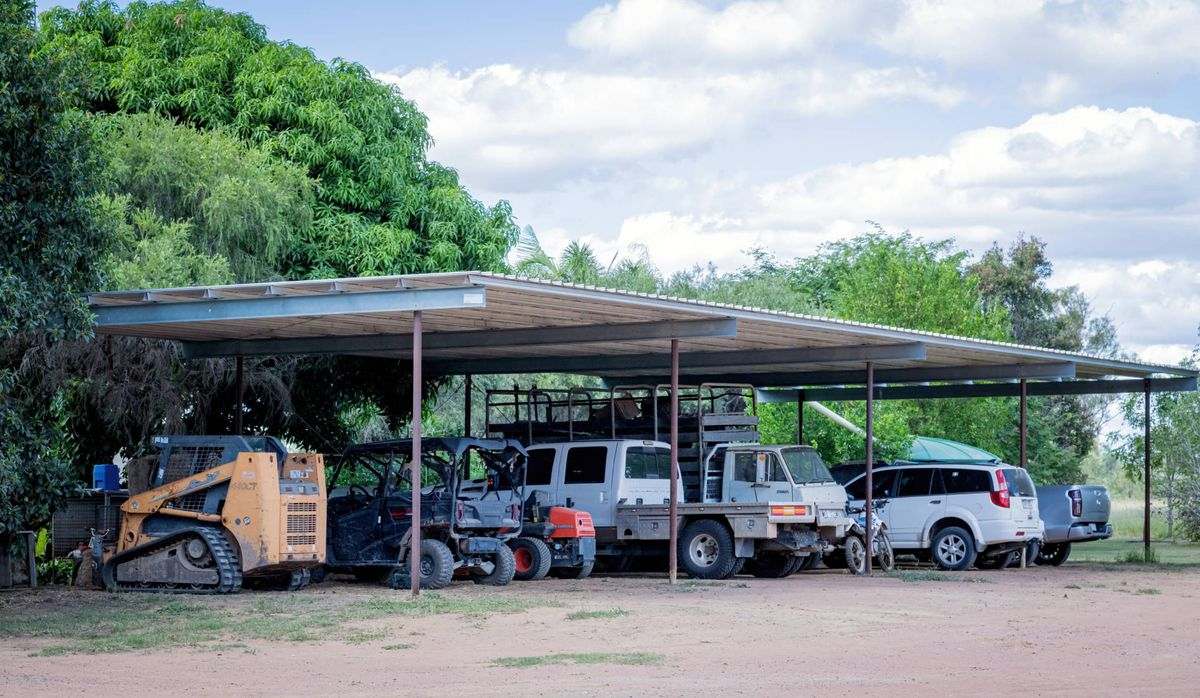 MON-ABRI, Dingo Auction by Farmbuy.com - image 22