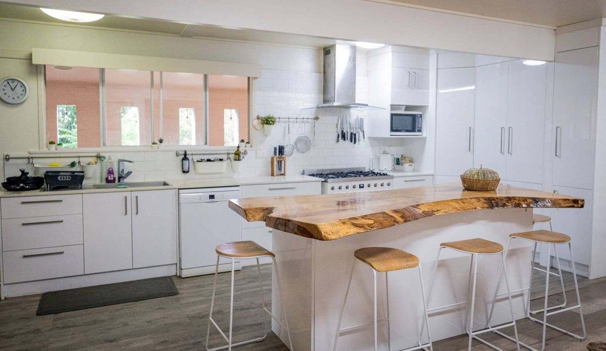 MON-ABRI, Dingo Auction by Farmbuy.com - image 7