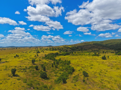 Lot 2 Capricorn Highway, Gogango  For Sale by Farmbuy.com - image 13