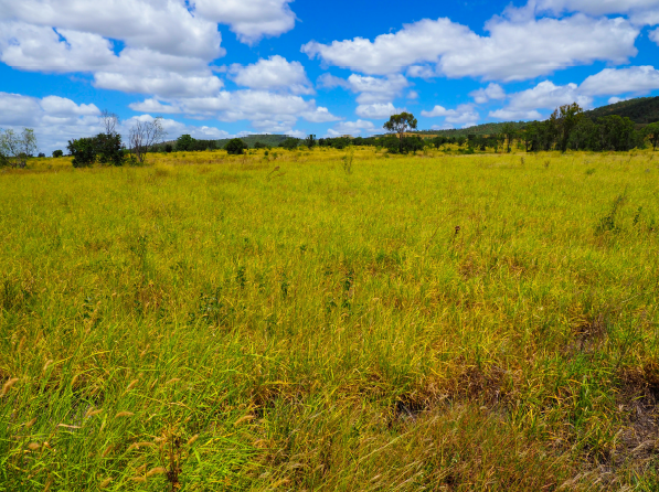 Lot 2 Capricorn Highway, Gogango  For Sale by Farmbuy.com - image 6