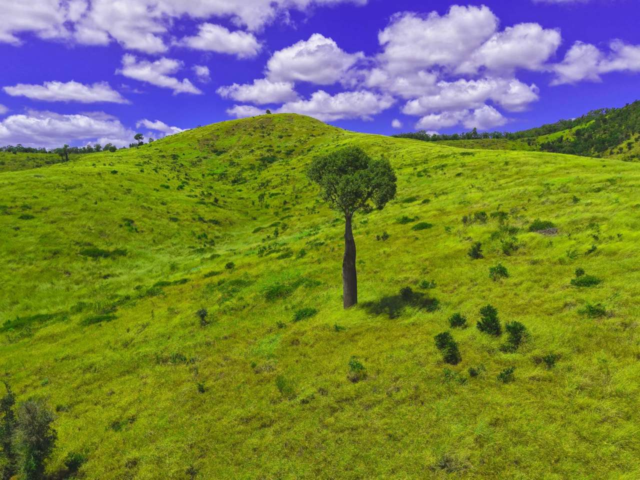 Lot 2 Capricorn Highway, Gogango  For Sale by Farmbuy.com - image 1