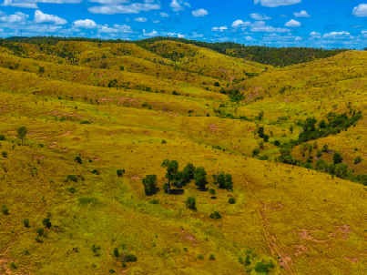 Lot 2 Capricorn Highway, Gogango  For Sale by Farmbuy.com - image 9