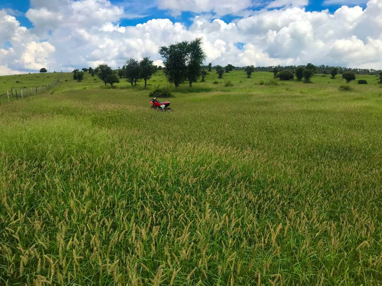 Lot 2 Capricorn Highway, Gogango  For Sale by Farmbuy.com - image 2