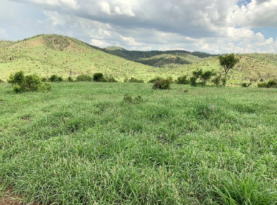 Lot 2 Capricorn Highway, Gogango  For Sale by Farmbuy.com - image 16