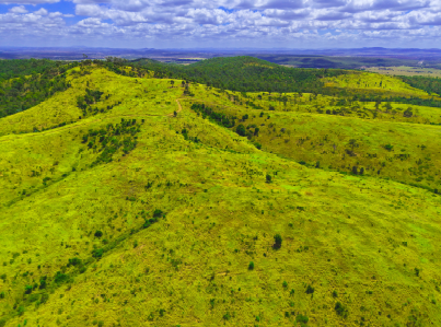 Lot 2 Capricorn Highway, Gogango  For Sale by Farmbuy.com - image 17
