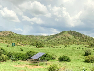 Lot 2 Capricorn Highway, Gogango  For Sale by Farmbuy.com - image 15