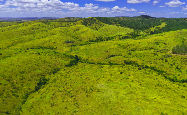 Lot 2 Capricorn Highway, Gogango  For Sale by Farmbuy.com - image 5