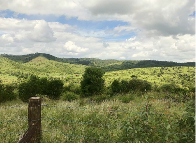 Lot 2 Capricorn Highway, Gogango  For Sale by Farmbuy.com - image 19