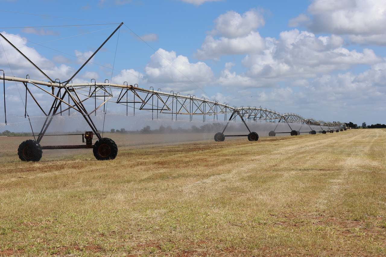 12634 Gregory Highway, Capella Auction by Farmbuy.com - image 5