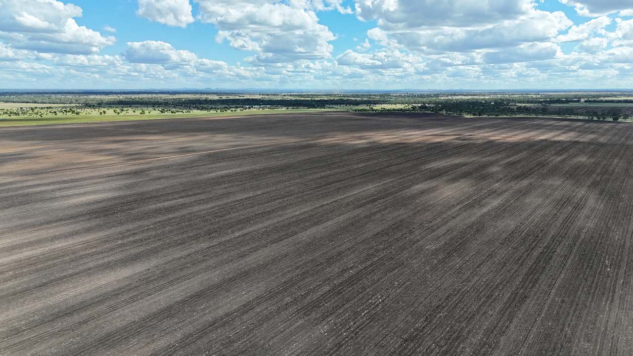 12634 Gregory Highway, Capella Auction by Farmbuy.com - image 6