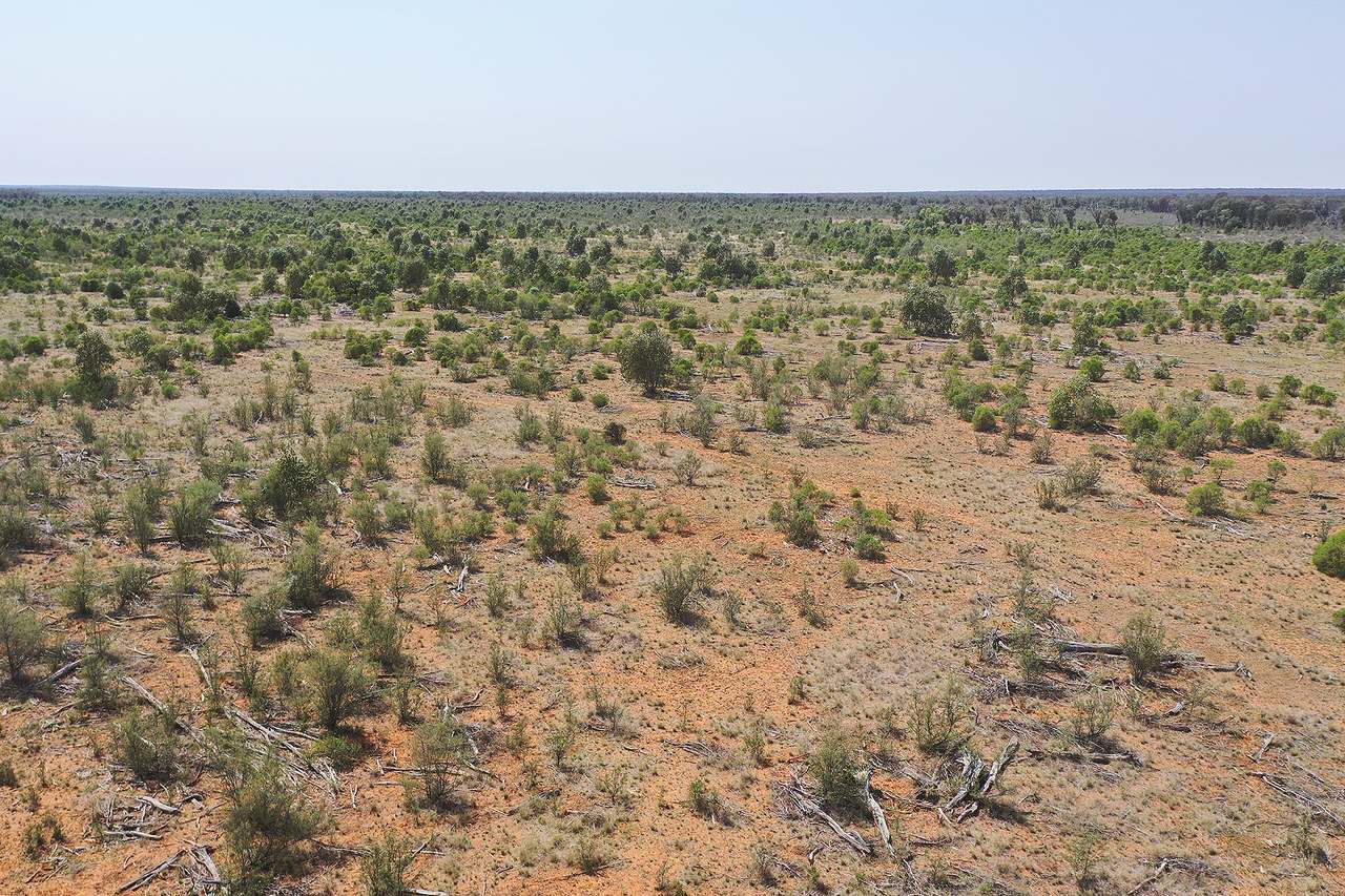 1582 Southampton Road,, St George Auction by Farmbuy.com - image 10