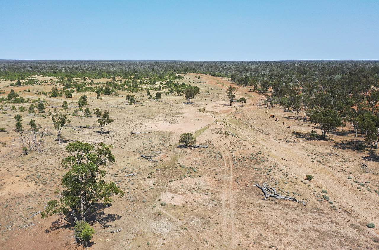 1582 Southampton Road,, St George Auction by Farmbuy.com - image 6