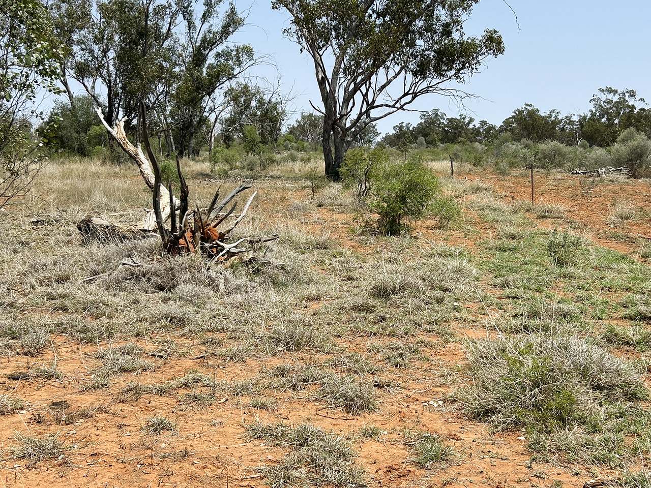 1582 Southampton Road,, St George Auction by Farmbuy.com - image 9