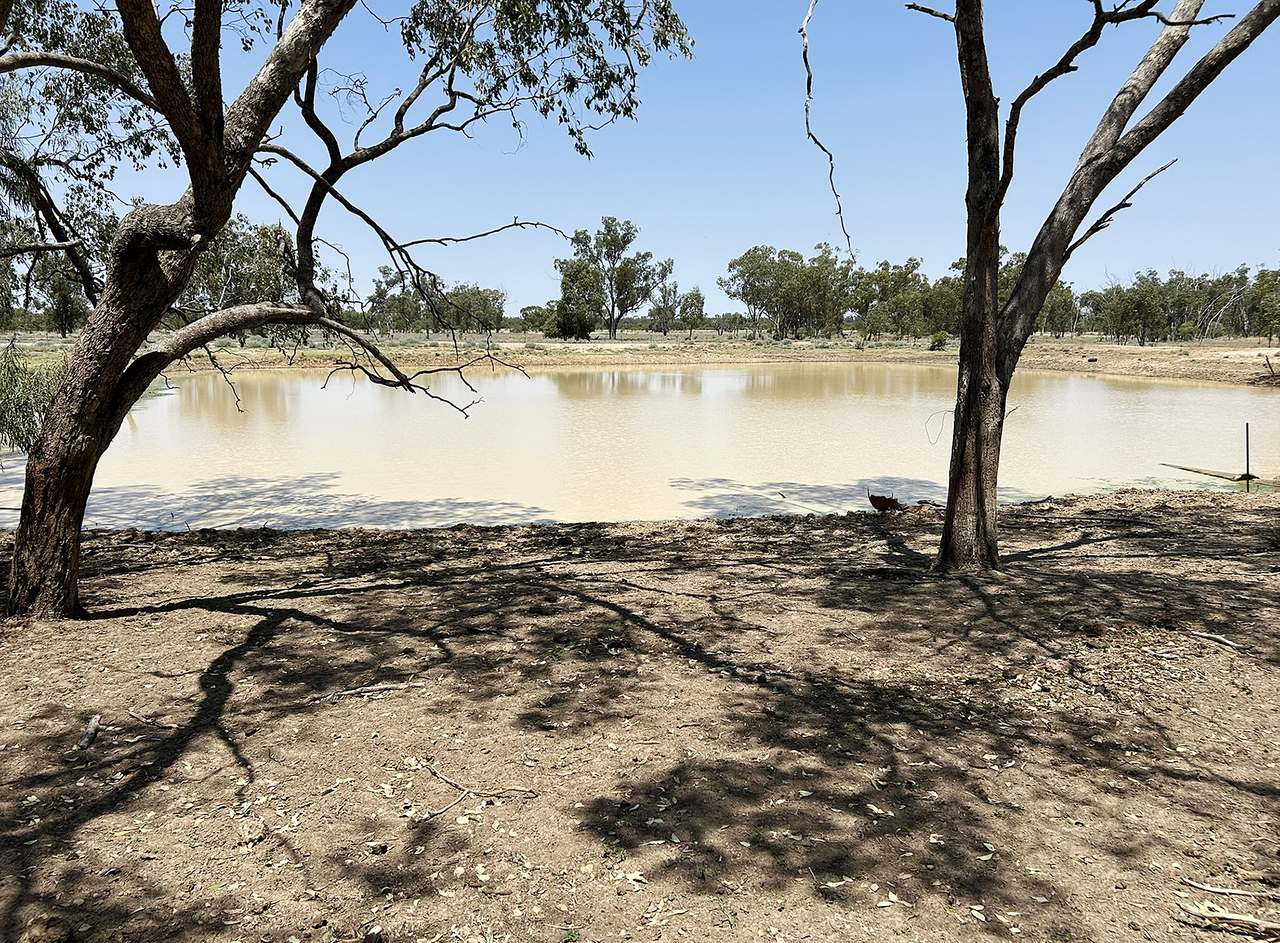 1582 Southampton Road,, St George Auction by Farmbuy.com - image 25