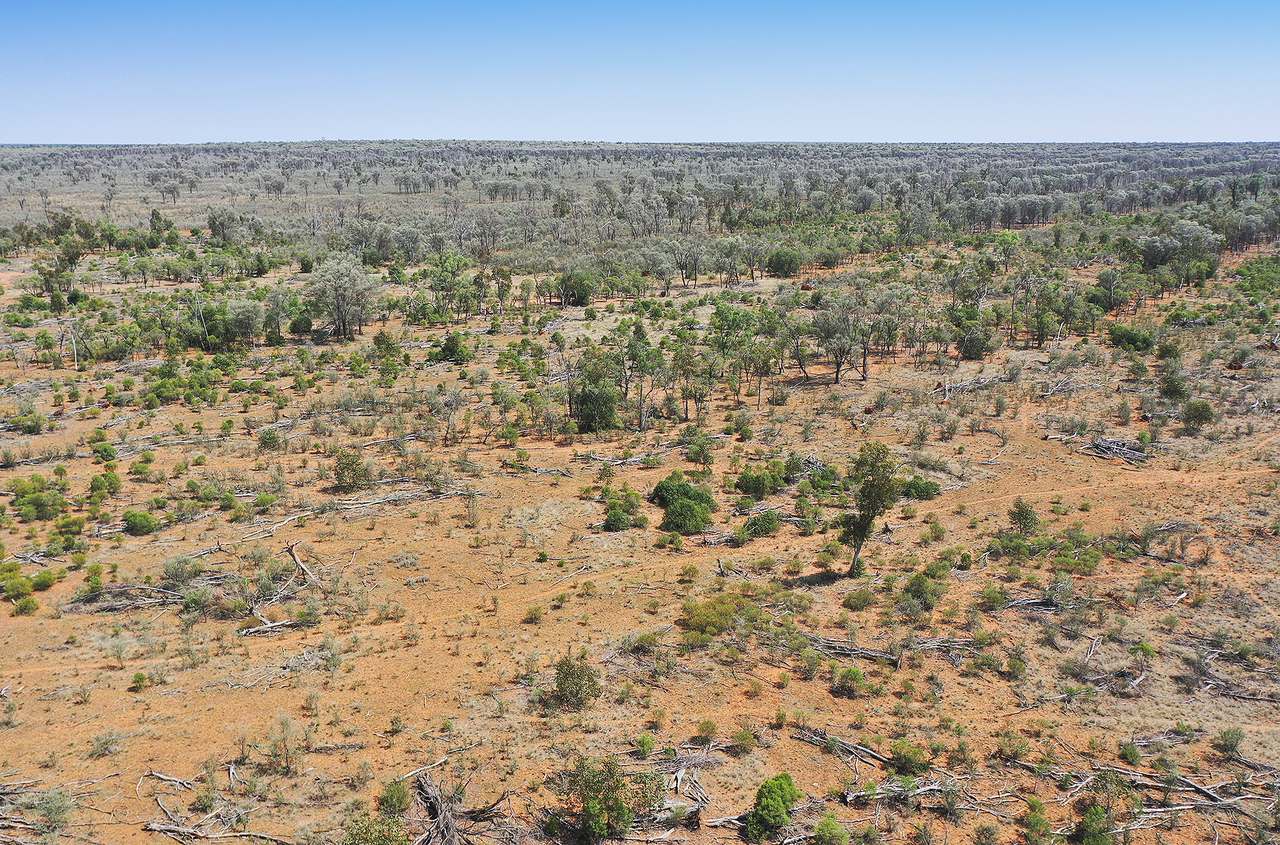 1582 Southampton Road,, St George Auction by Farmbuy.com - image 12