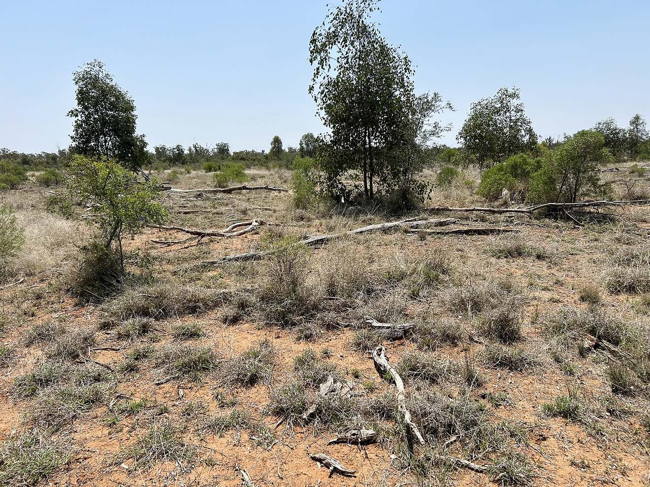 1582 Southampton Road,, St George Auction by Farmbuy.com - image 26