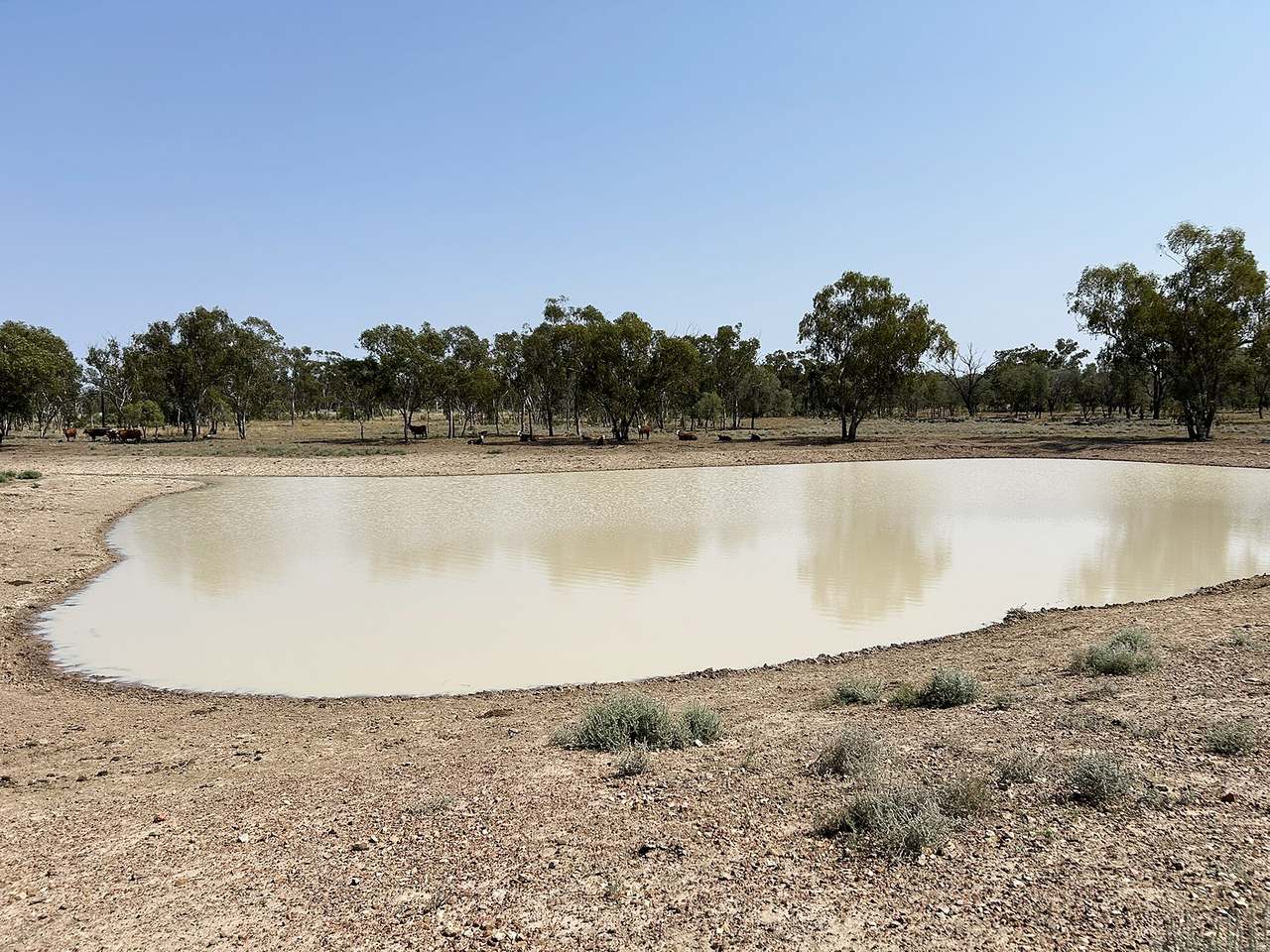 1582 Southampton Road,, St George Auction by Farmbuy.com - image 11