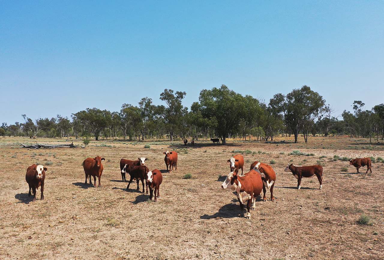 1582 Southampton Road,, St George Auction by Farmbuy.com - image 1