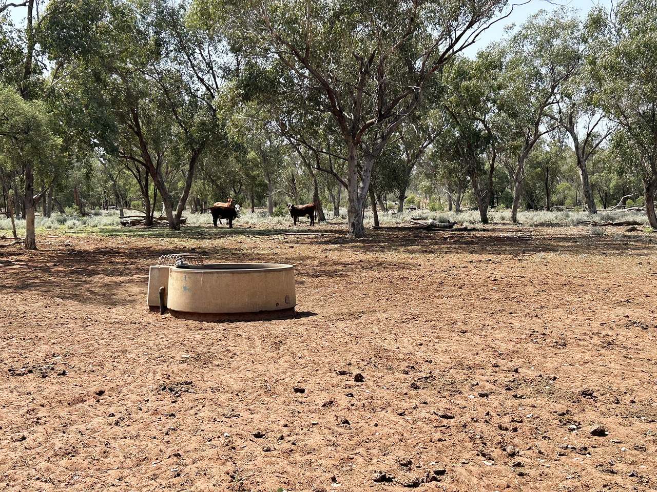 1582 Southampton Road,, St George Auction by Farmbuy.com - image 18