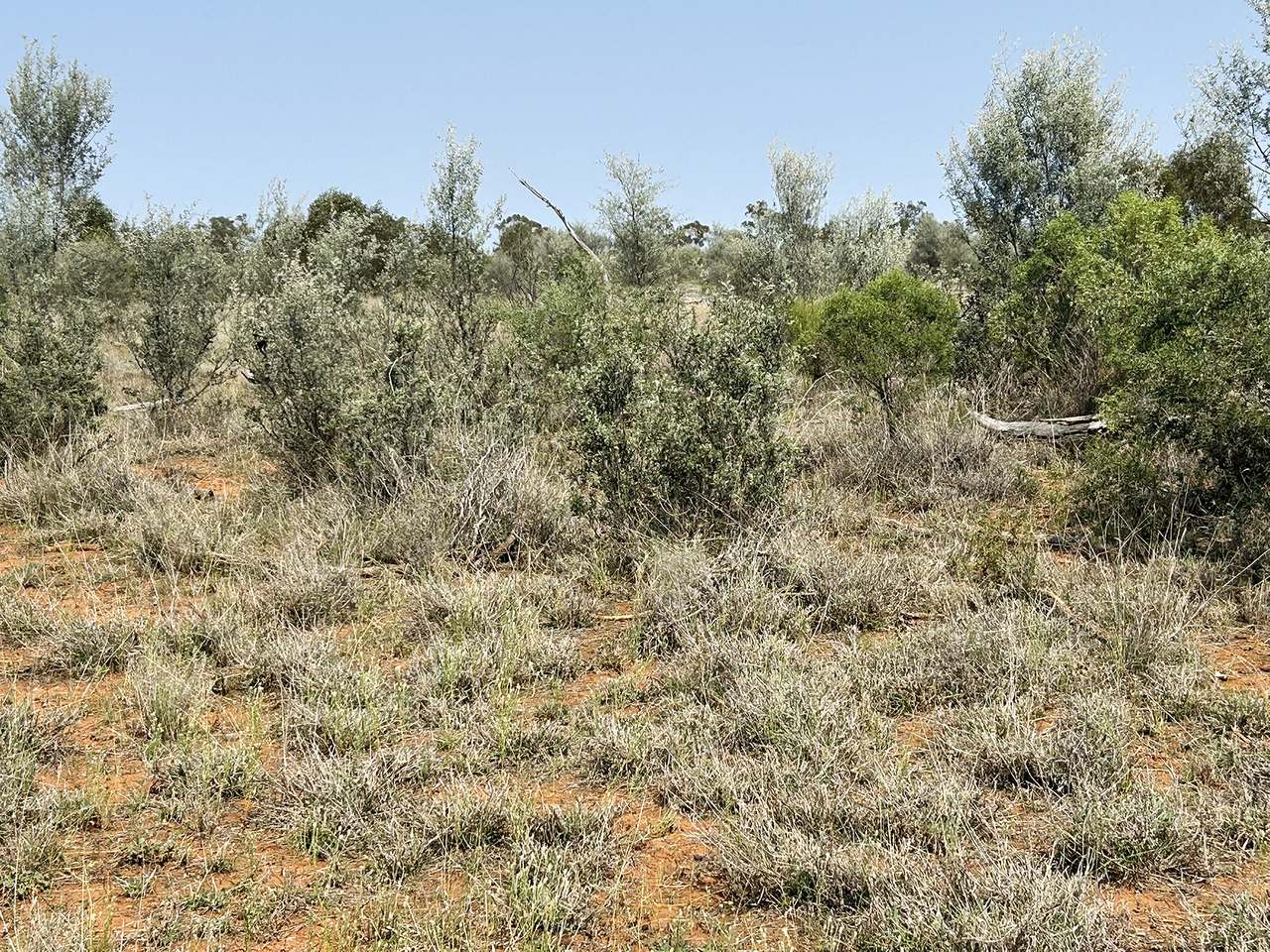 1582 Southampton Road,, St George Auction by Farmbuy.com - image 17