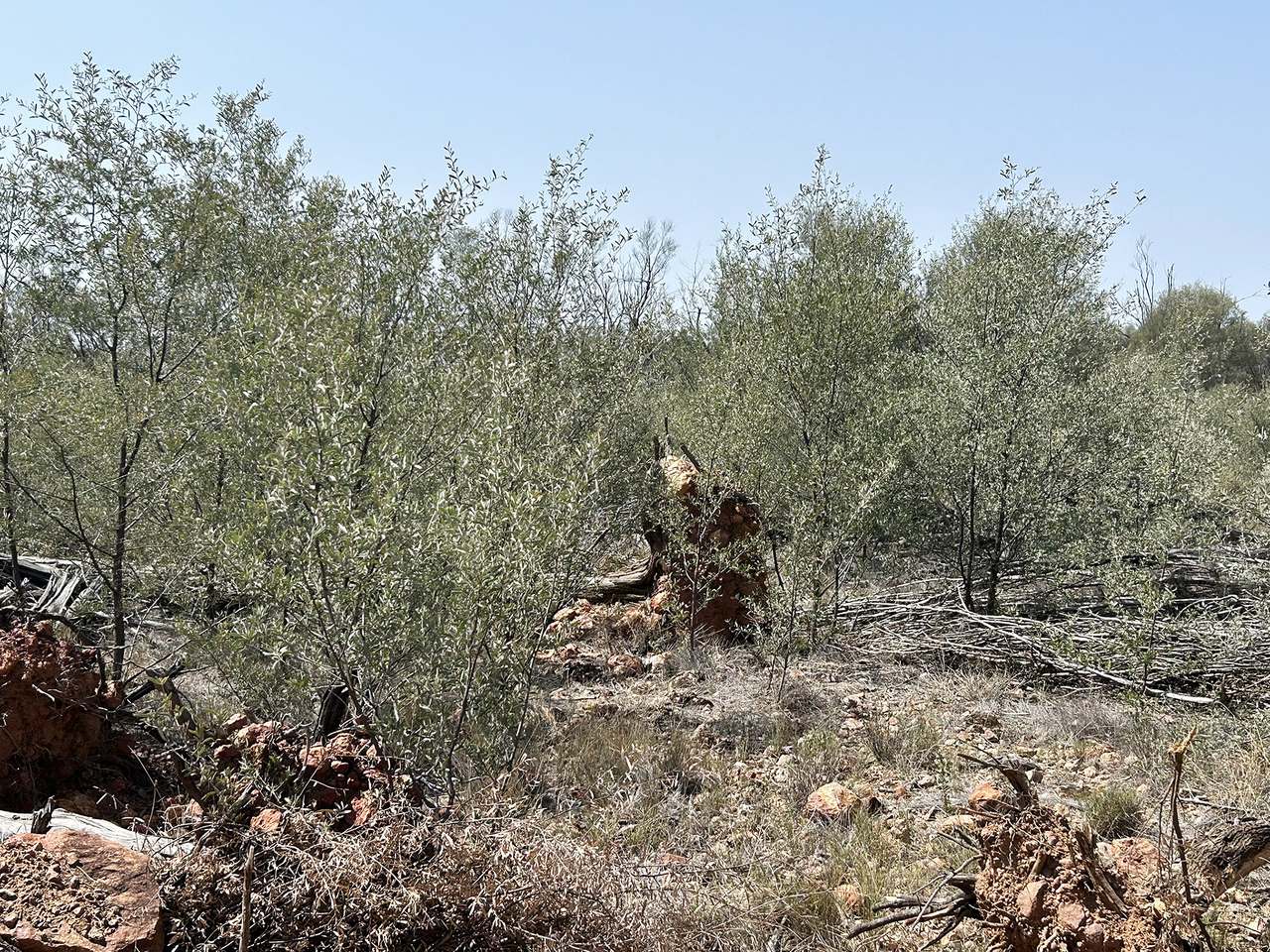 1582 Southampton Road,, St George Auction by Farmbuy.com - image 5