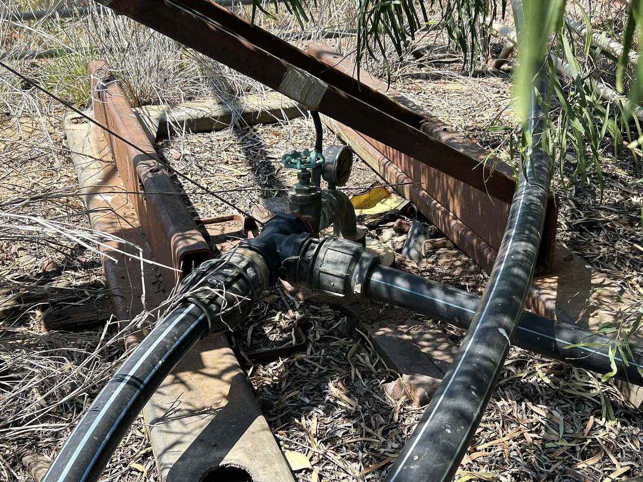 1582 Southampton Road,, St George Auction by Farmbuy.com - image 21