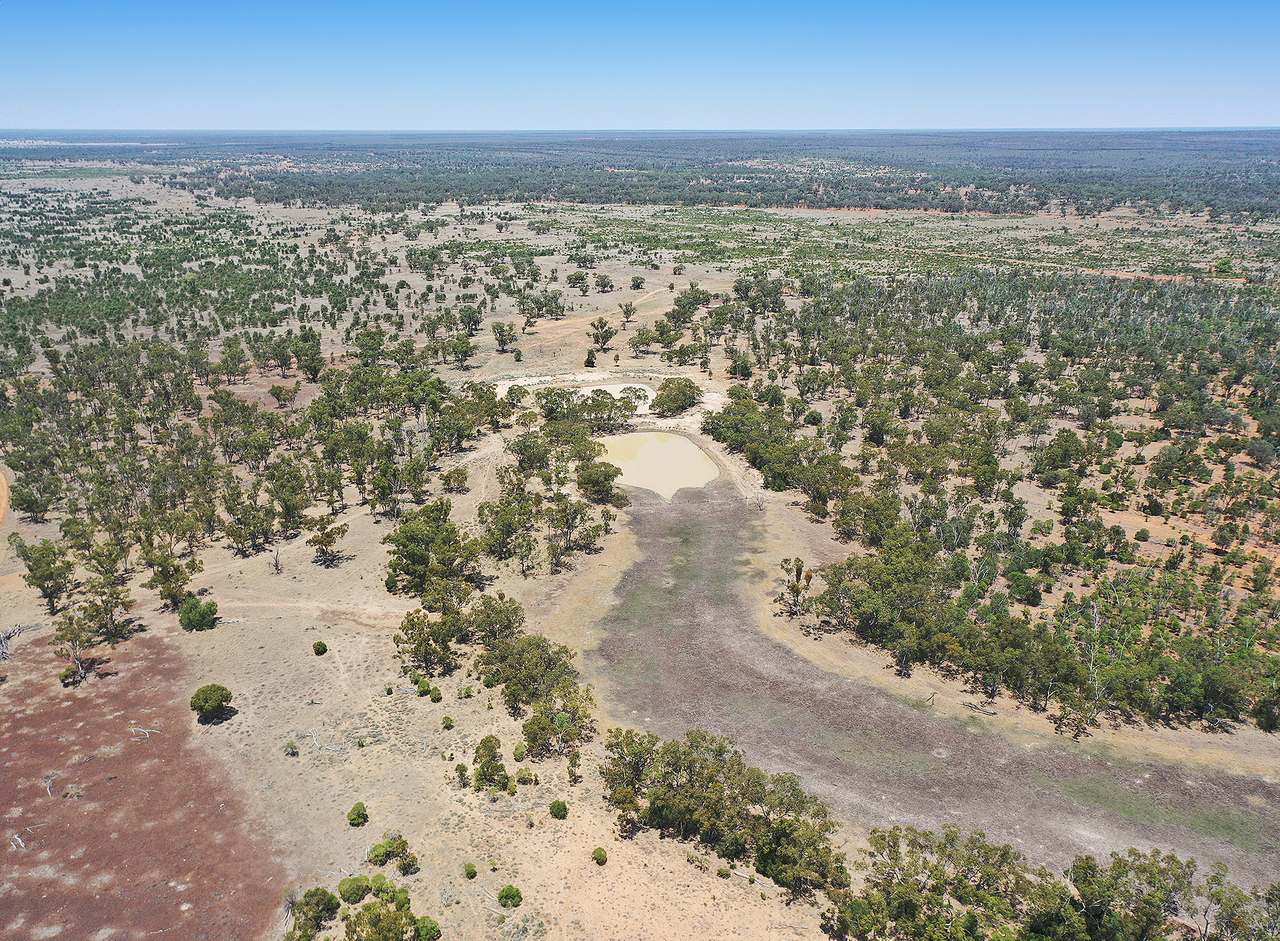 1582 Southampton Road,, St George Auction by Farmbuy.com - image 23