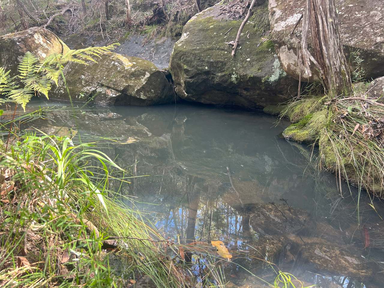 Coast Range Road, Pillar Valley For Sale by Farmbuy.com - image 8