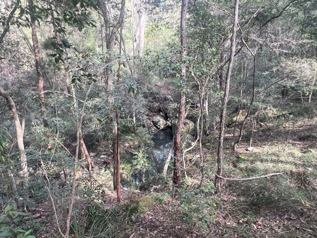 Coast Range Road, Pillar Valley For Sale by Farmbuy.com - image 16