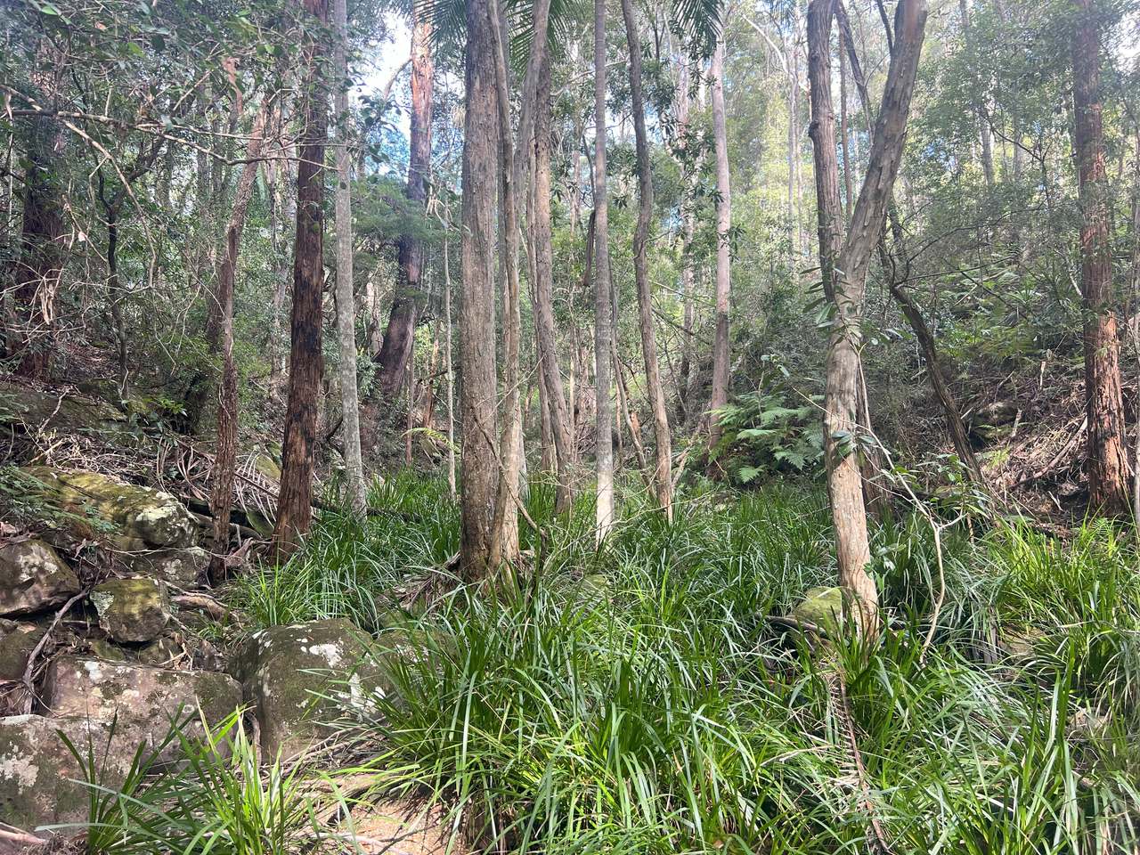 Coast Range Road, Pillar Valley For Sale by Farmbuy.com - image 14