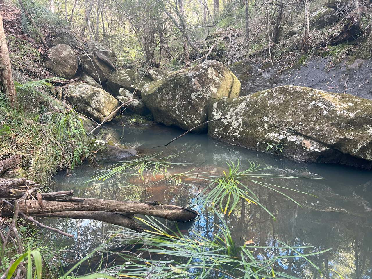 Coast Range Road, Pillar Valley For Sale by Farmbuy.com - image 7