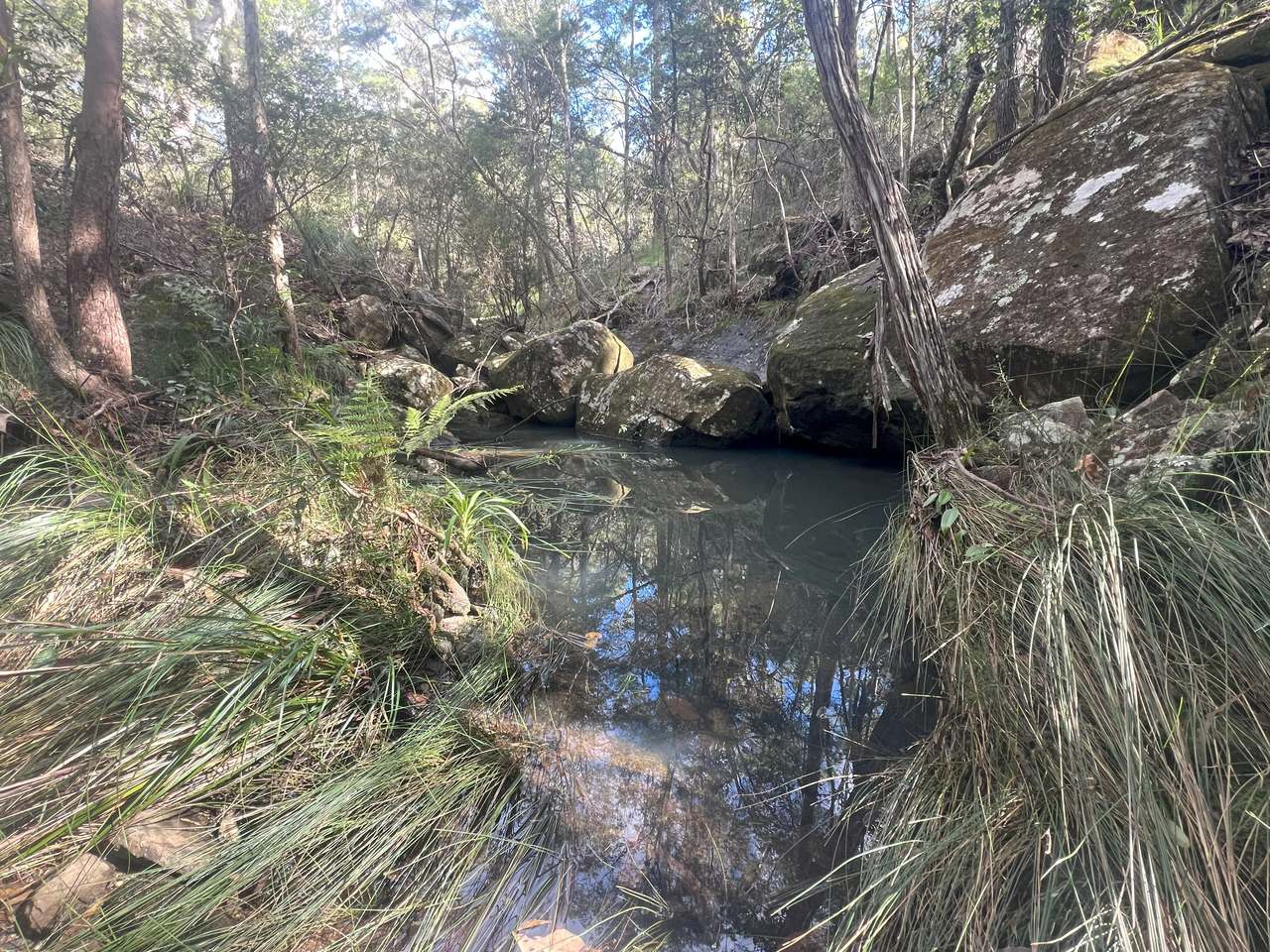Coast Range Road, Pillar Valley For Sale by Farmbuy.com - image 17